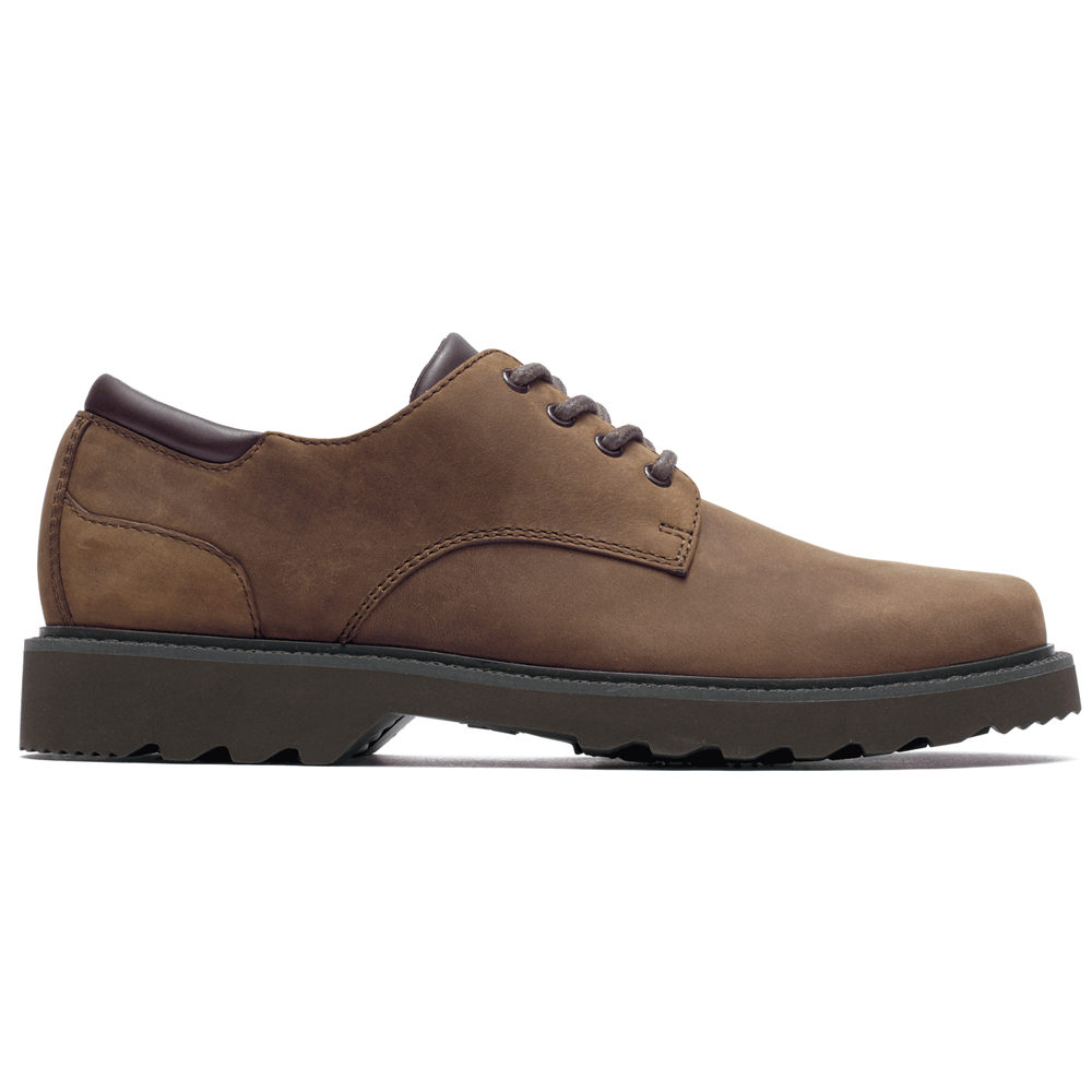 Oxfords Rockport Homem Marrom Escuro - Northfield Waterproof - 32918CHIY